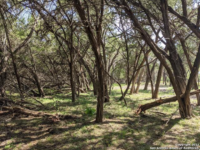 Lot 52 Clearwater Canyon Rd Property Photo 14