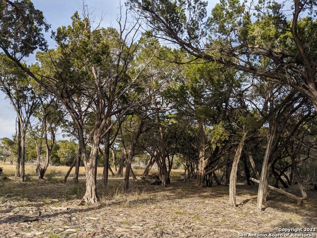 Lot 52 Clearwater Canyon Rd Property Photo 15