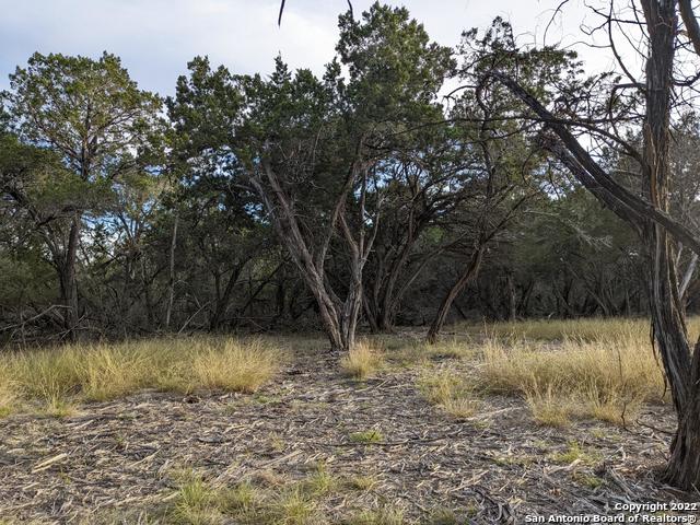 Lot 52 Clearwater Canyon Rd Property Photo 19