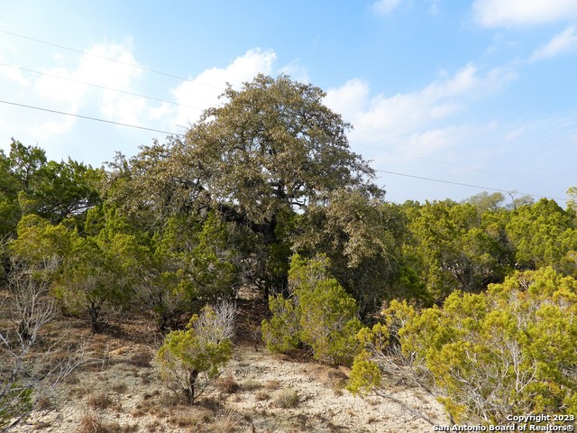 Lot 13 Johnson Road Property Photo 5