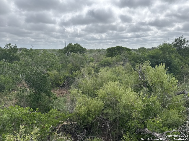 73 Rocky Hls Property Photo 2