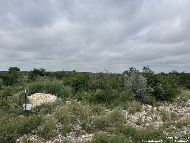 87 Palomino Hls Property Photo 1