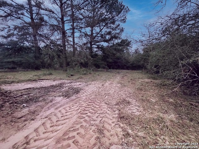 3100 Chuckwagon Rd Property Photo 7