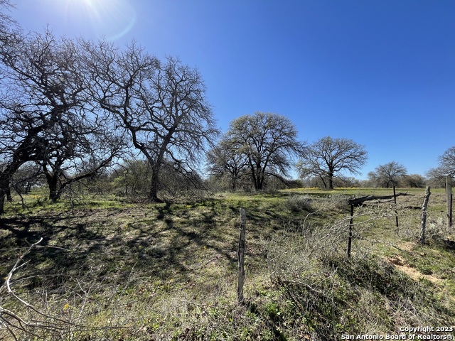 8765 Us Highway 87 W Property Photo 32