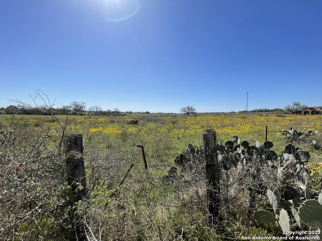 8765 Us Highway 87 W Property Photo 42