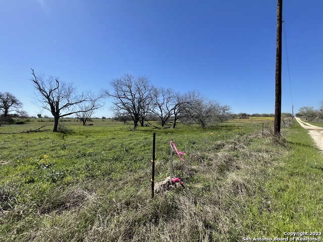 8765 Us Highway 87 W Property Photo 44