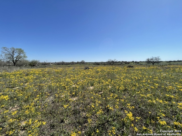 8765 Us Highway 87 W Property Photo 59