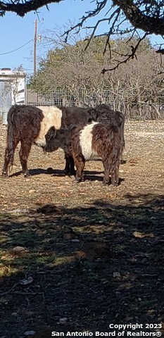 514 Centerfork Rd Property Photo 56