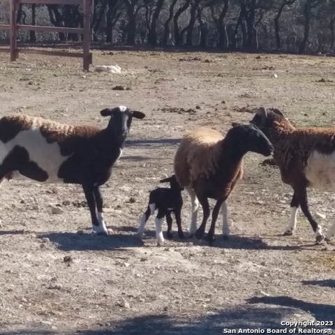 514 Centerfork Rd Property Photo 57