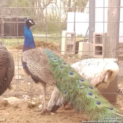 514 Centerfork Rd Property Photo 60