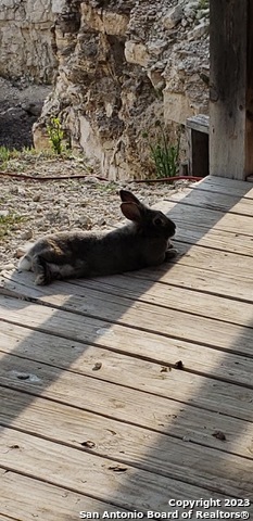 514 Centerfork Rd Property Photo 61