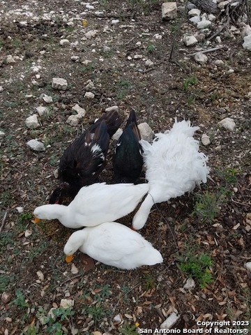 514 Centerfork Rd Property Photo 62