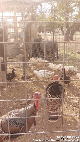 514 Centerfork Rd Property Photo 63