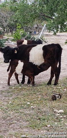 514 Centerfork Rd Property Photo 64