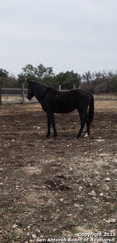 514 Centerfork Rd Property Photo 66