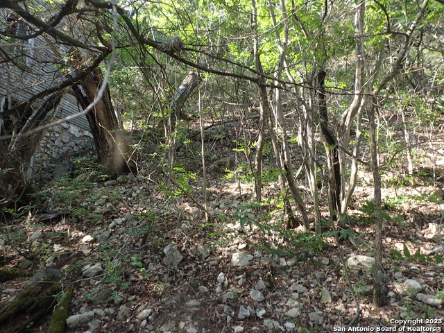 5 Beach Dr Property Photo 4