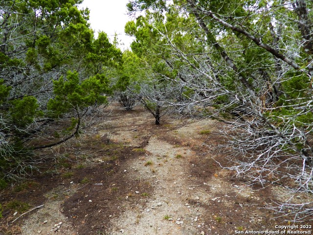 Lot 73 Scenic Crest Property Photo 5