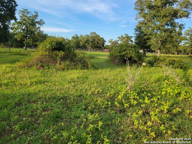 1130 Blacksmith Ln Property Photo 1