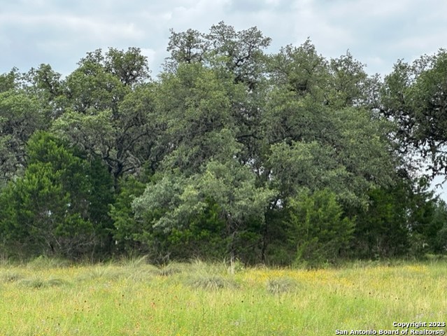 Lot 40 Valley Oak Dr Property Photo 3