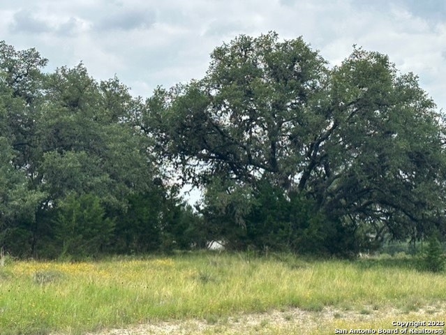Lot 40 Valley Oak Dr Property Photo 4