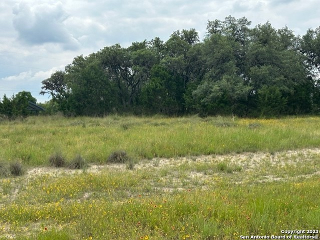 Lot 40 Valley Oak Dr Property Photo 6