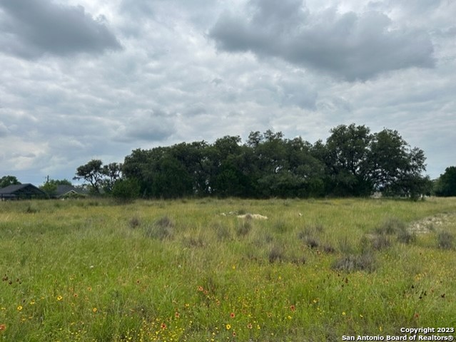 Lot 40 Valley Oak Dr Property Photo 8