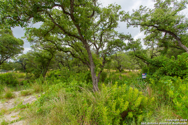 Lot 54 Clear Water Cyn Property Photo 4