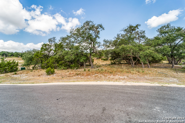 1817 Mountain Springs Property Photo 3