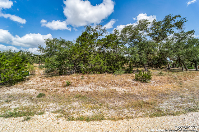 1817 Mountain Springs Property Photo 5