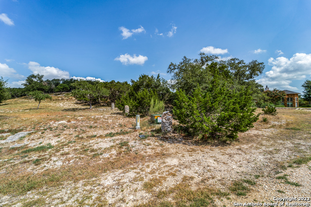 1817 Mountain Springs Property Photo 6