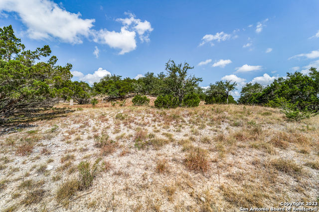 1817 Mountain Springs Property Photo 7