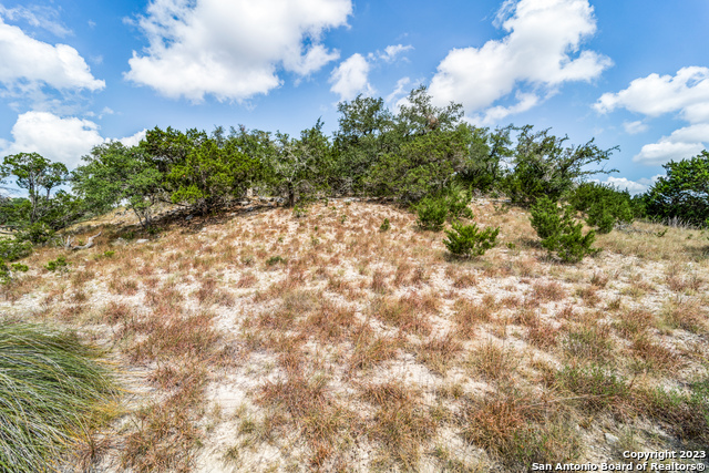 1817 Mountain Springs Property Photo 9