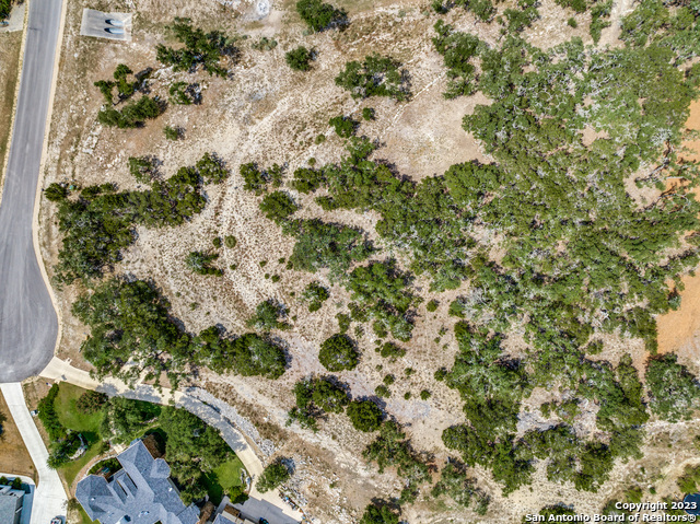 1817 Mountain Springs Property Photo 12