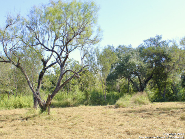 185 E Short Meadow Drive Property Photo 2