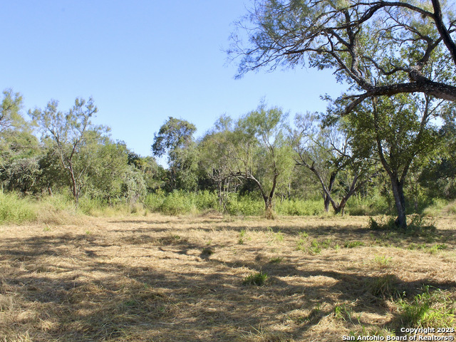 185 E Short Meadow Drive Property Photo 3