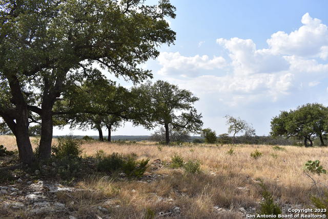000 Cattlemans Crossing Drive Property Photo 1