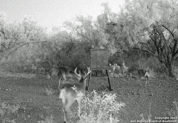 1066 Ranch Rd Highway 187 Property Photo 14