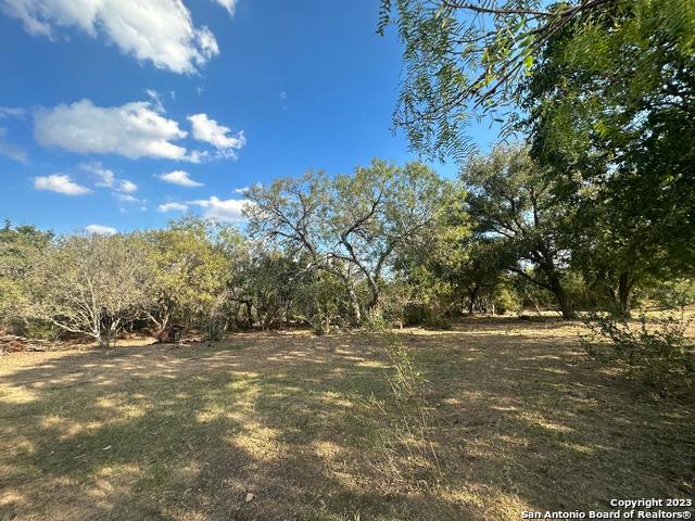 000 Adkins-St. Hedwig Road Property Photo 1