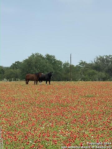 1355 Cr 777 Property Photo 3