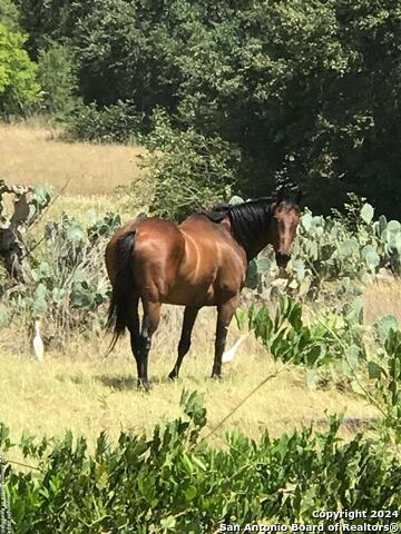 1355 Cr 777 Property Photo 5