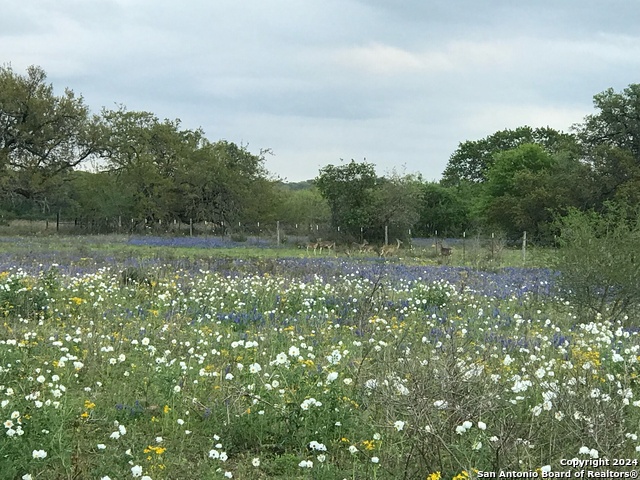 1355 Cr 777 Property Photo 6