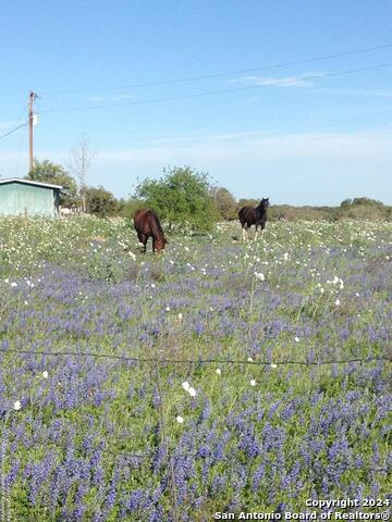 1355 Cr 777 Property Photo 8