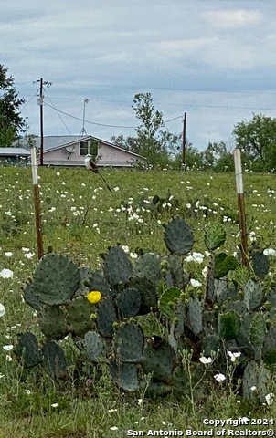 1355 Cr 777 Property Photo 10