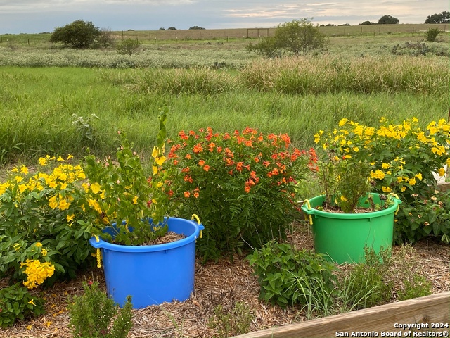 1355 Cr 777 Property Photo 11