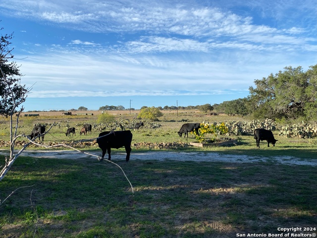 1355 Cr 777 Property Photo 13