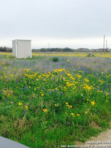 1355 Cr 777 Property Photo 14