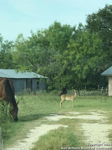 1355 Cr 777 Property Photo 16