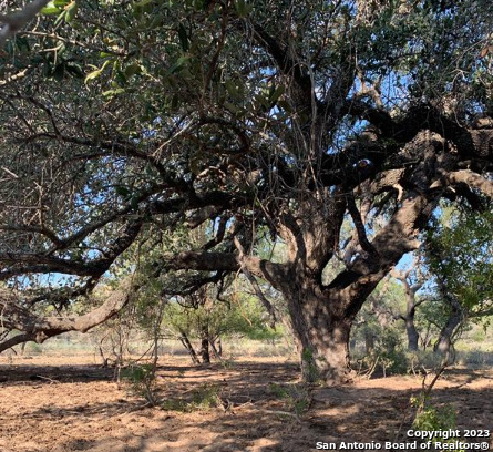 1355 Cr 777 Property Photo 40