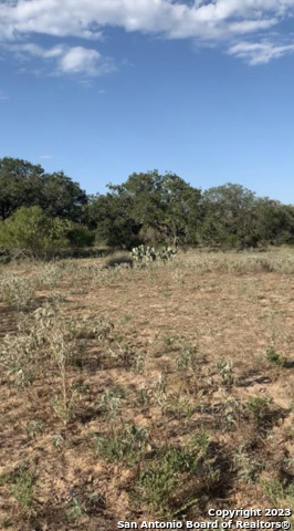 1355 Cr 777 Property Photo 41