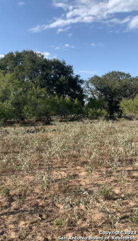 1355 Cr 777 Property Photo 43